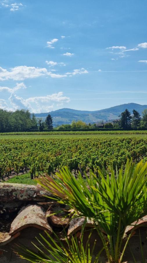 Maison de charme au cœur des vignes du Beaujolais Saint-Georges-de-Reneins Extérieur photo